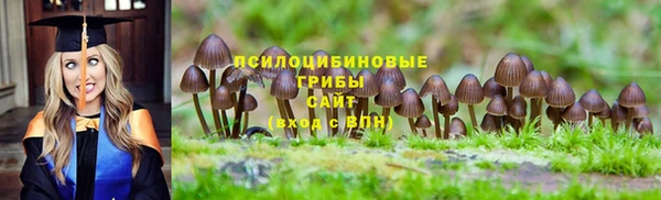 стаф Нягань