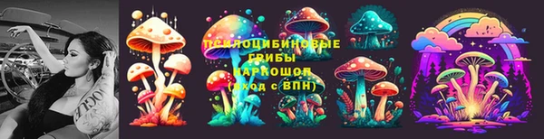 мескалин Новодвинск