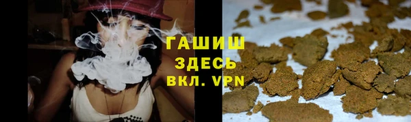 стафф Новокубанск