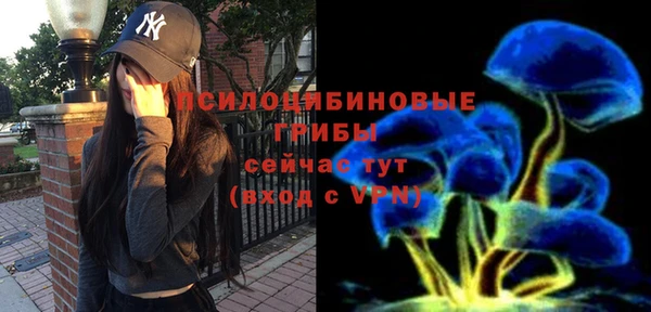 мескалин Новодвинск