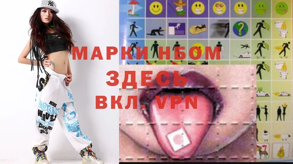 стафф Новокубанск